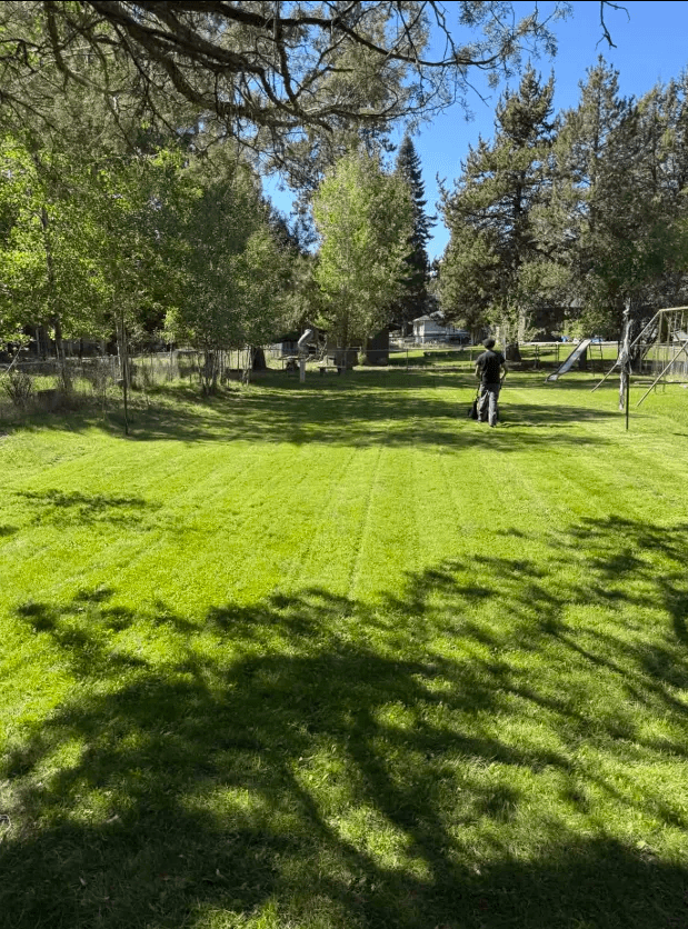 Freshly striped backyard lawn