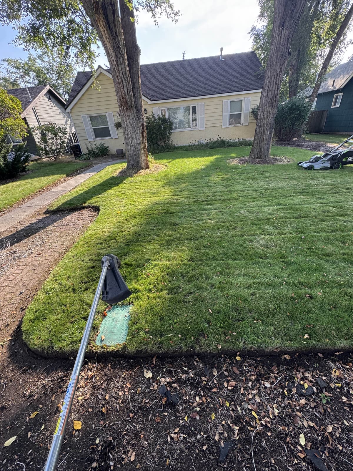 Beautiful lawn maintained by Clips Lawncare